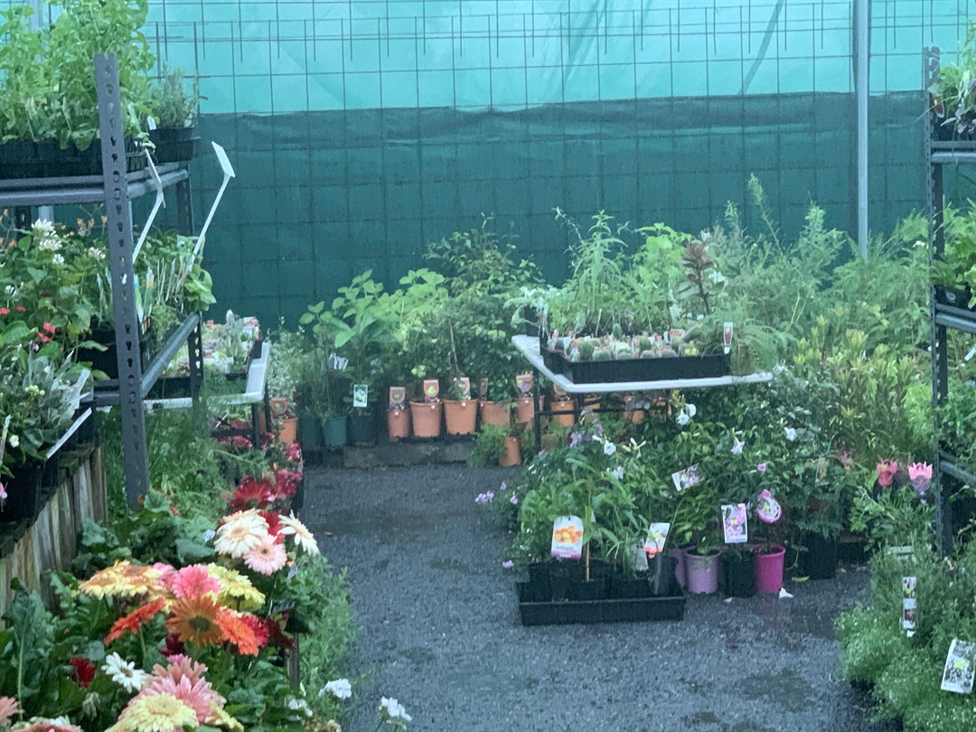 Sunny Ridge Nursery Rockhampton Regional Council