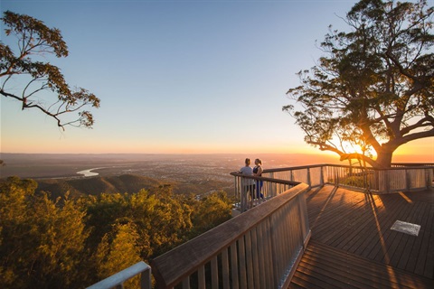 Mount Archer (Nurim) Elevated Treetop Boardwalk.jpg